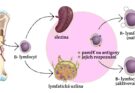 21. Kurginjan: Koronavirus – jeho cíle, autoři a vládci (21. část) – analýza politického pozadí covidové „aféry“ aneb nic nekončí – pozor na připravovanou novou očkovací strategii