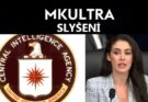 Slyšení MK-Ultra v americkém Kongresu: Zločiny proti lidskosti,  svědek odhaluje tajnou věznici CIA v Německu (video)